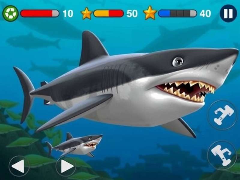 Shark Safari Indian Festival Event